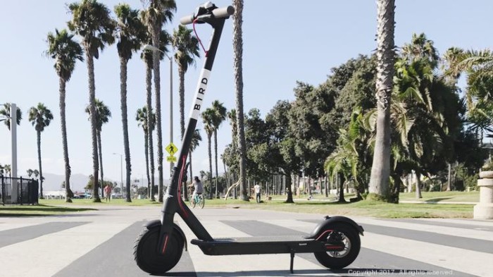 As E-Scooter Startups Like Bird Soar High, Some Chirp for Regulatory Action
